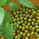 Illustration for article titled Health Benefits of Green Beans